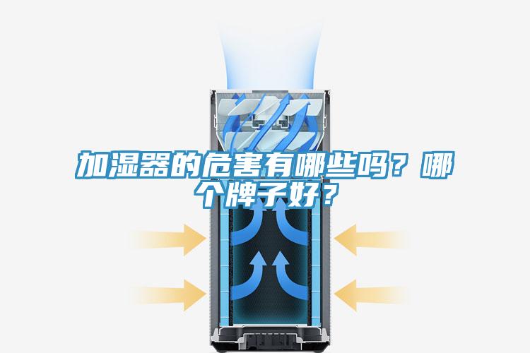 加湿器的危害有哪些吗？哪个牌子好？