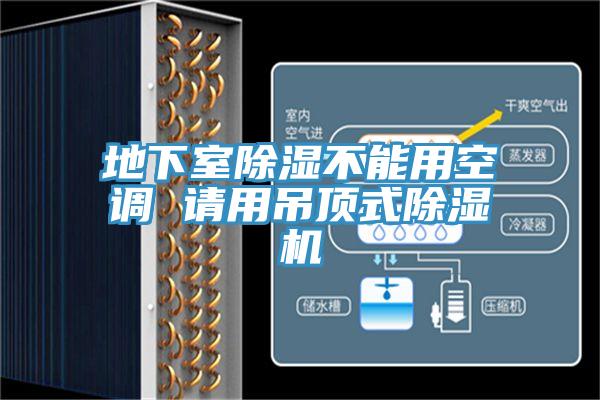 地下室除湿不能用空调 请用吊顶式MR.好色破解版