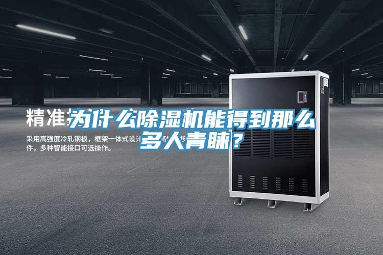 为什么MR.好色破解版能得到那么多人青睐？