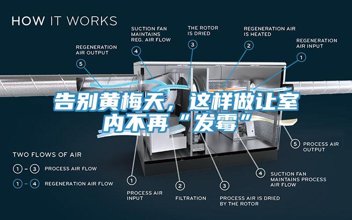 告别黄梅天，这样做让室内不再“发霉”