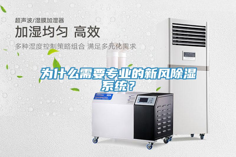 为什么需要专业的新风除湿系统？