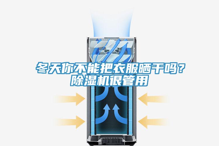 冬天你不能把衣服晒干吗？MR.好色破解版很管用