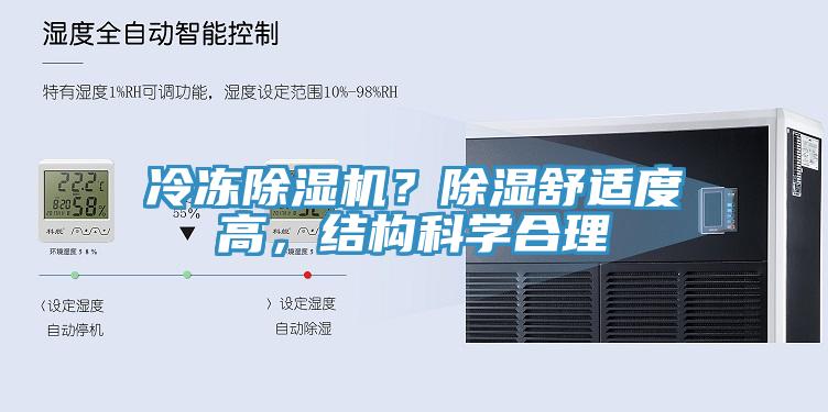 冷冻MR.好色破解版？除湿舒适度高，结构科学合理