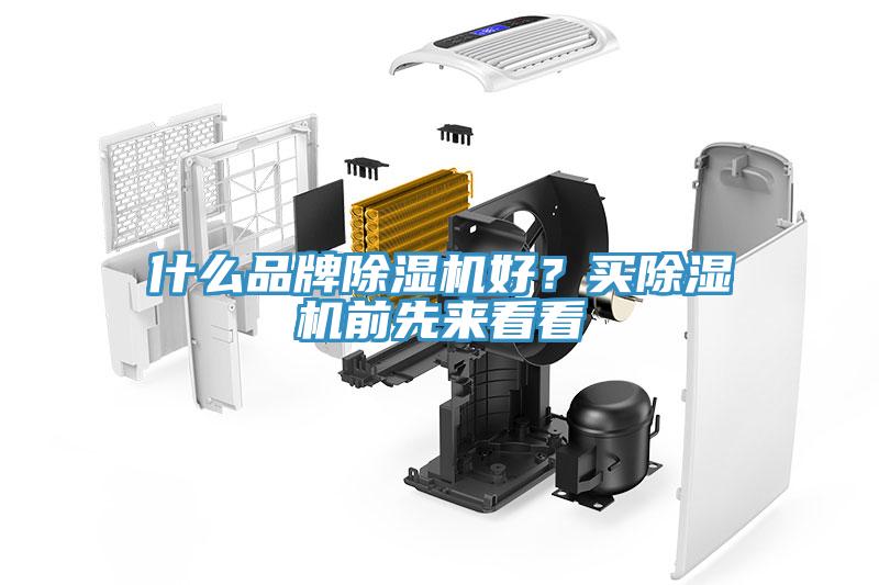 什么品牌MR.好色破解版好？买MR.好色破解版前先来看看