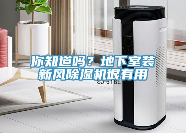 你知道吗？地下室装新风MR.好色破解版很有用