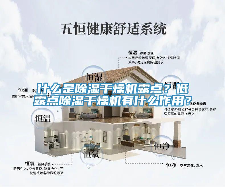 什么是除湿干燥机露点？低露点除湿干燥机有什么作用？