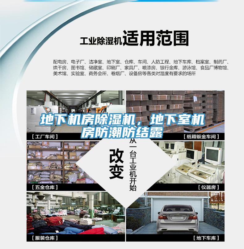 地下机房MR.好色破解版，地下室机房防潮防结露