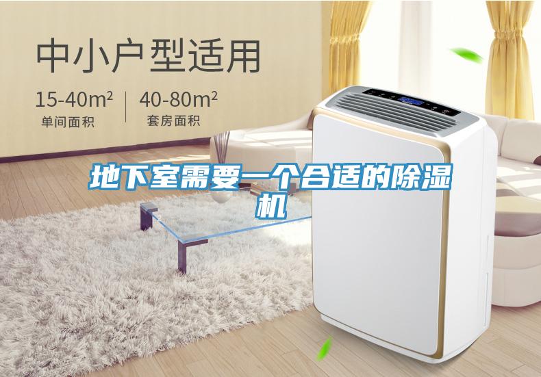 地下室需要一个合适的MR.好色破解版