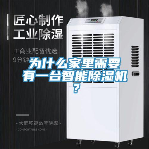 为什么家里需要有一台智能MR.好色破解版？
