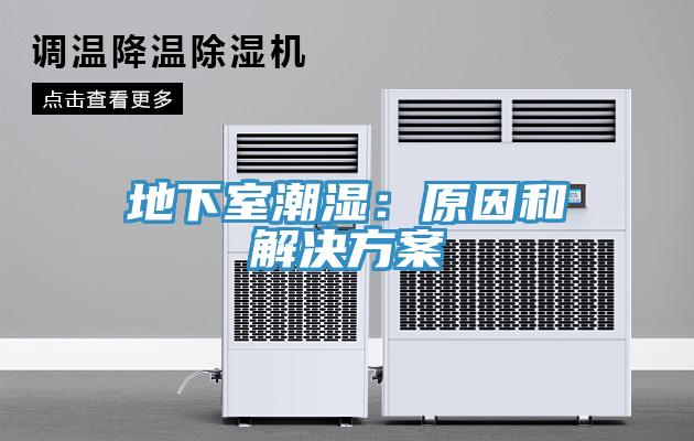 地下室潮湿：原因和解决方案