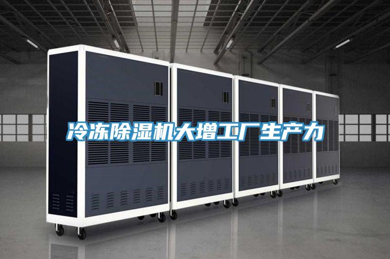 冷冻MR.好色破解版大增工厂生产力