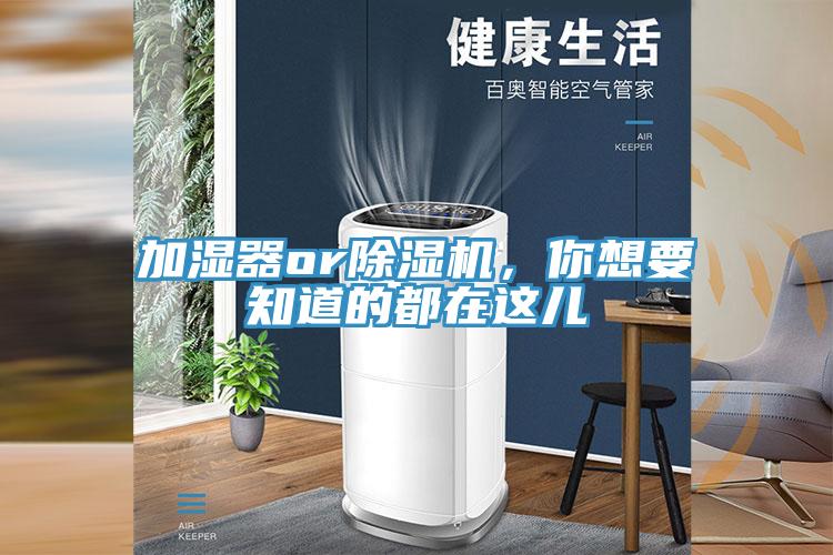 加湿器orMR.好色破解版，你想要知道的都在这儿