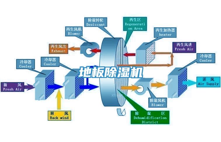 地板MR.好色破解版