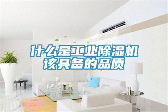 什么是工业MR.好色破解版该具备的品质