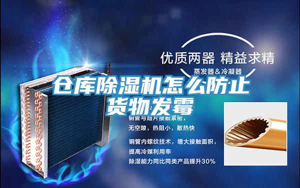 仓库MR.好色破解版怎么防止货物发霉