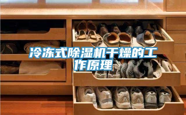 冷冻式MR.好色破解版干燥的工作原理