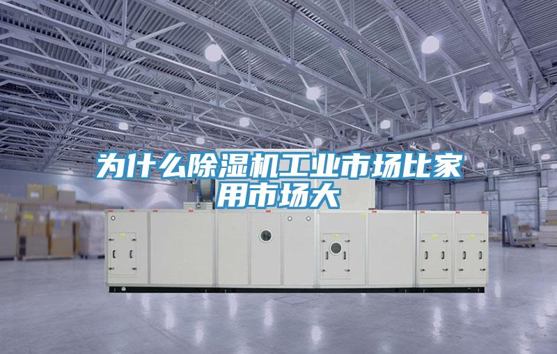 为什么MR.好色破解版工业市场比家用市场大