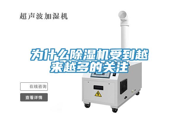为什么MR.好色破解版受到越来越多的关注