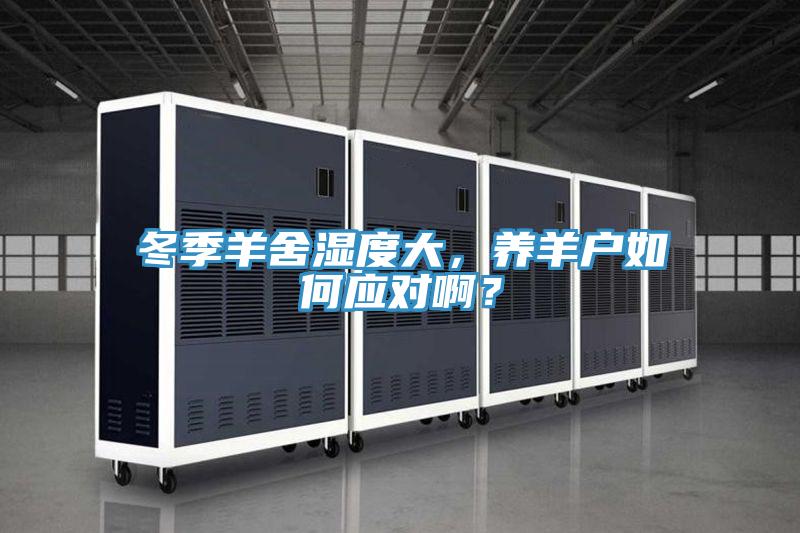 冬季羊舍湿度大，养羊户如何应对啊？