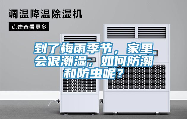 到了梅雨季节，家里会很潮湿，如何防潮和防虫呢？