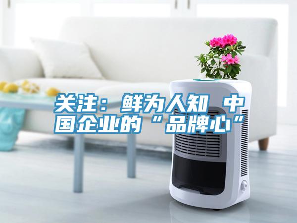 关注：鲜为人知 中国企业的“品牌心”