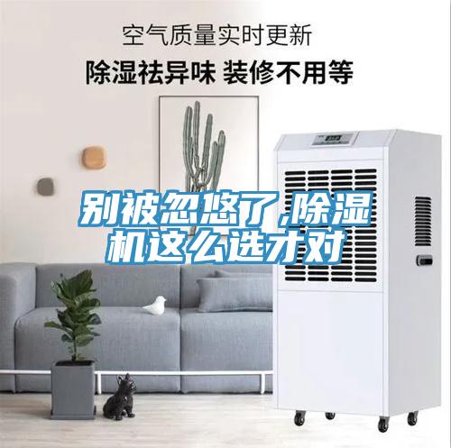 别被忽悠了,MR.好色破解版这么选才对