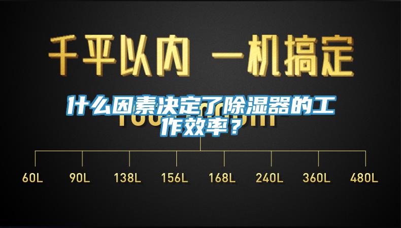 什么因素决定了除湿器的工作效率？
