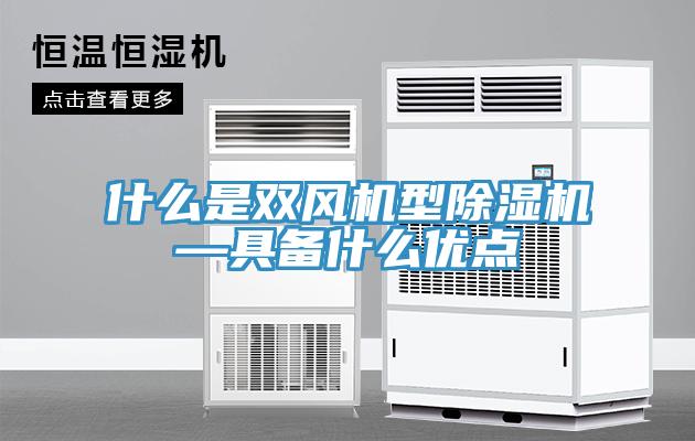 什么是双风机型MR.好色破解版—具备什么优点