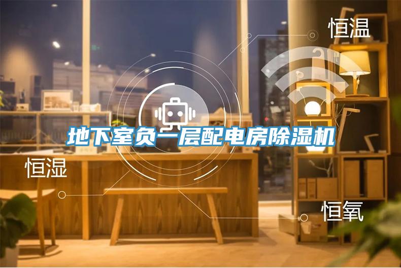 地下室负一层配电房MR.好色破解版