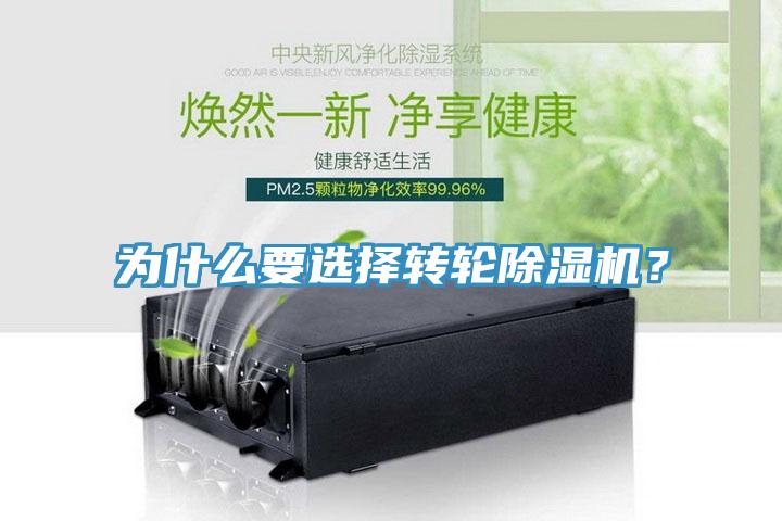 为什么要选择转轮MR.好色破解版？