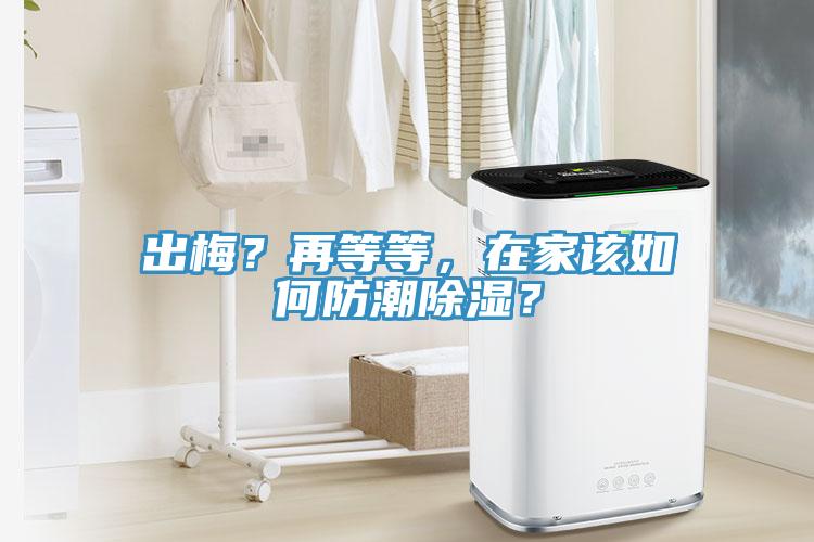 出梅？再等等，在家该如何防潮除湿？