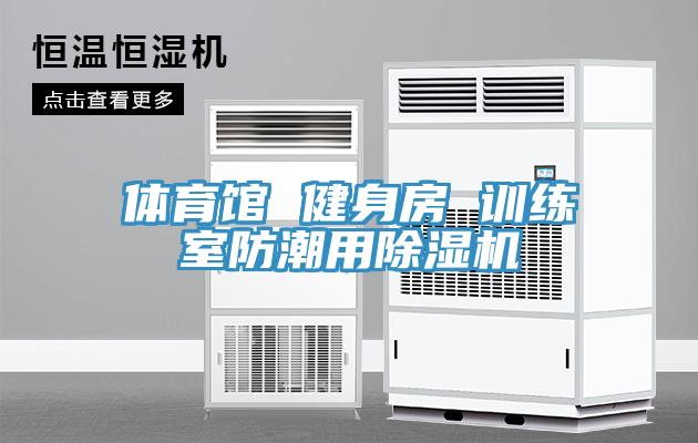 体育馆 健身房 训练室防潮用MR.好色破解版