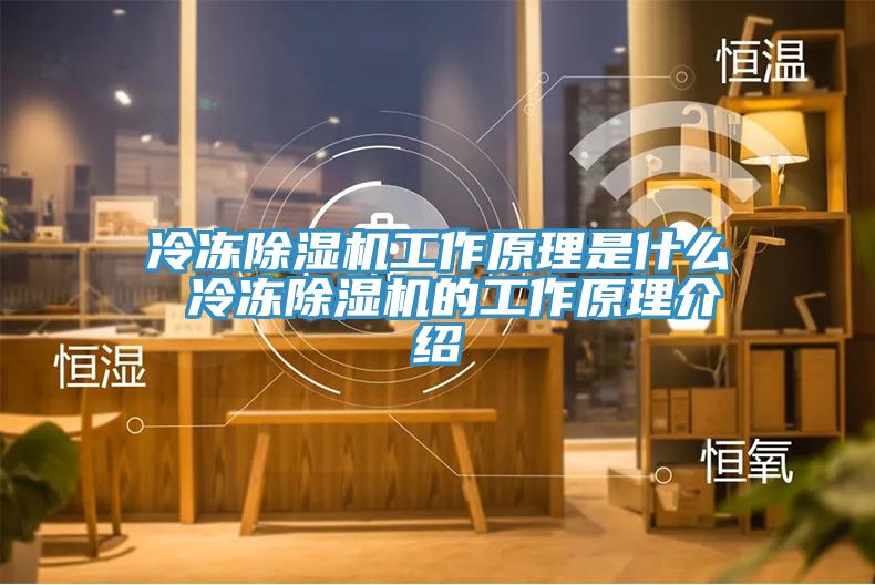 冷冻MR.好色破解版工作原理是什么 冷冻MR.好色破解版的工作原理介绍