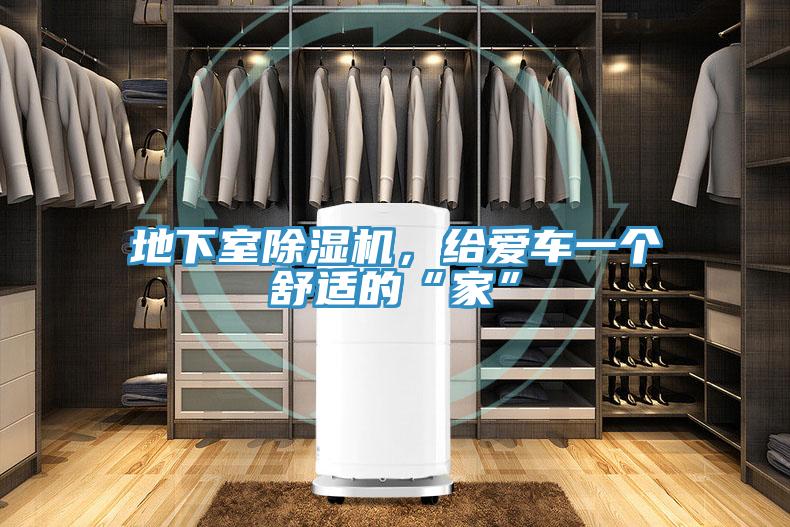 地下室MR.好色破解版，给爱车一个舒适的“家”