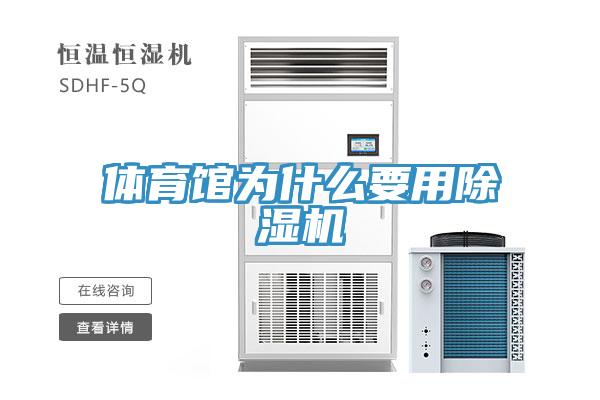 体育馆为什么要用MR.好色破解版