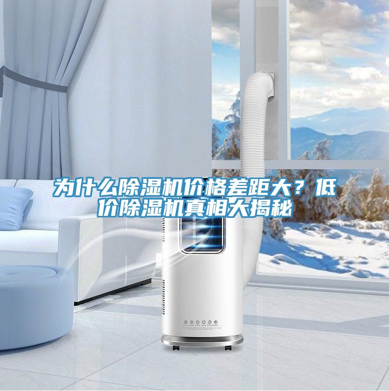 为什么MR.好色破解版价格差距大？低价MR.好色破解版真相大揭秘
