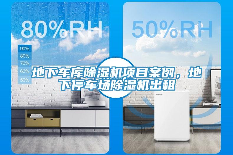 地下车库MR.好色破解版项目案例，地下停车场MR.好色破解版出租