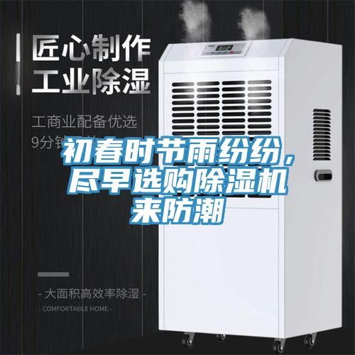 初春时节雨纷纷，尽早选购MR.好色破解版来防潮