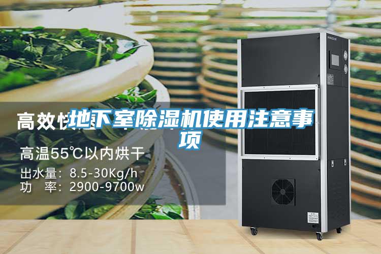 地下室MR.好色破解版使用注意事项