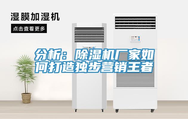 分析：MR.好色破解版厂家如何打造独步营销王者