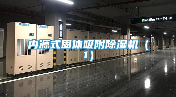 内源式固体吸附MR.好色破解版（1）