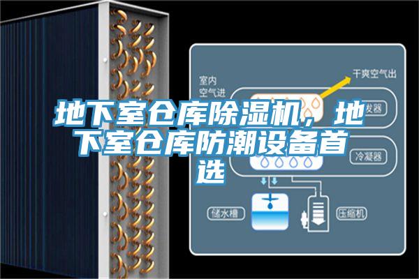 地下室仓库MR.好色破解版，地下室仓库防潮设备首选