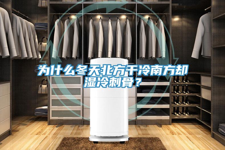 为什么冬天北方干冷南方却湿冷刺骨？