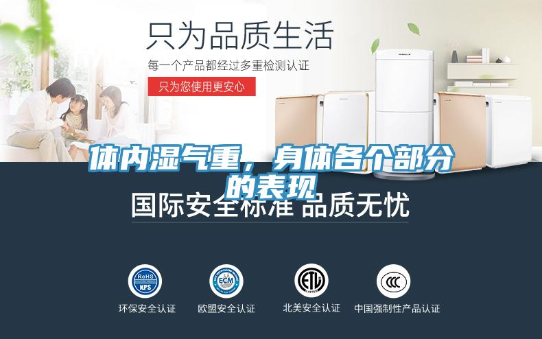 体内湿气重，身体各个部分的表现