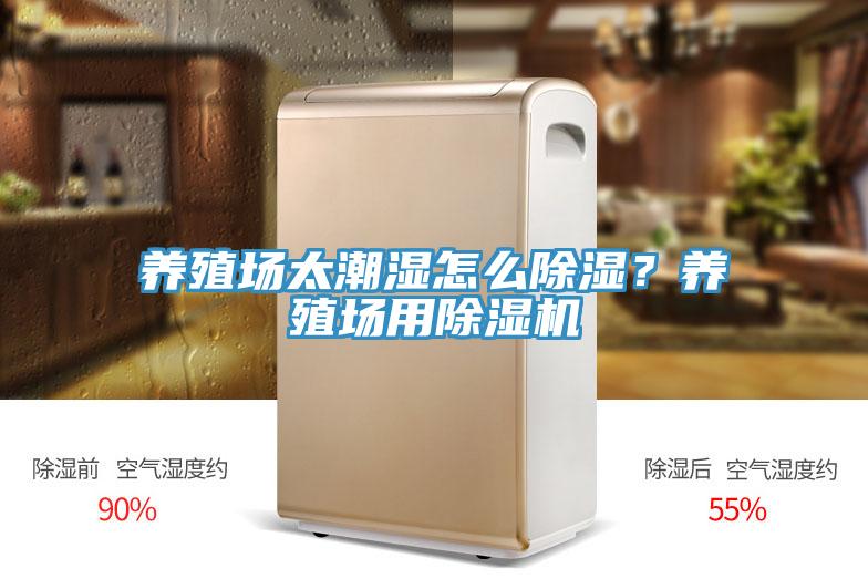 养殖场太潮湿怎么除湿？养殖场用MR.好色破解版