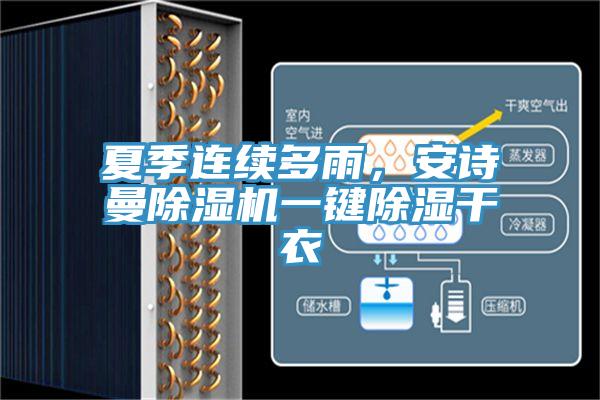夏季连续多雨，好色先生TV下载网站MR.好色破解版一键除湿干衣