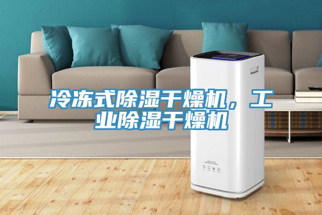 冷冻式除湿干燥机，工业除湿干燥机