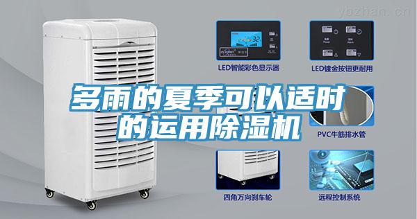 多雨的夏季可以适时的运用MR.好色破解版