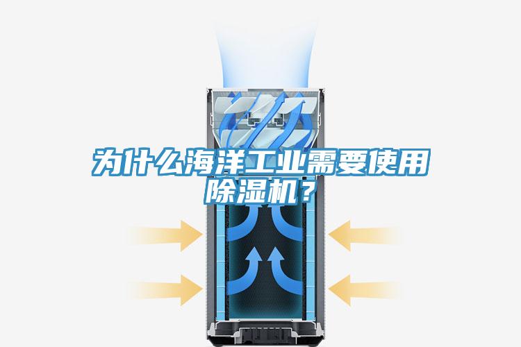 为什么海洋工业需要使用MR.好色破解版？