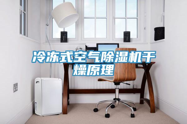 冷冻式空气MR.好色破解版干燥原理